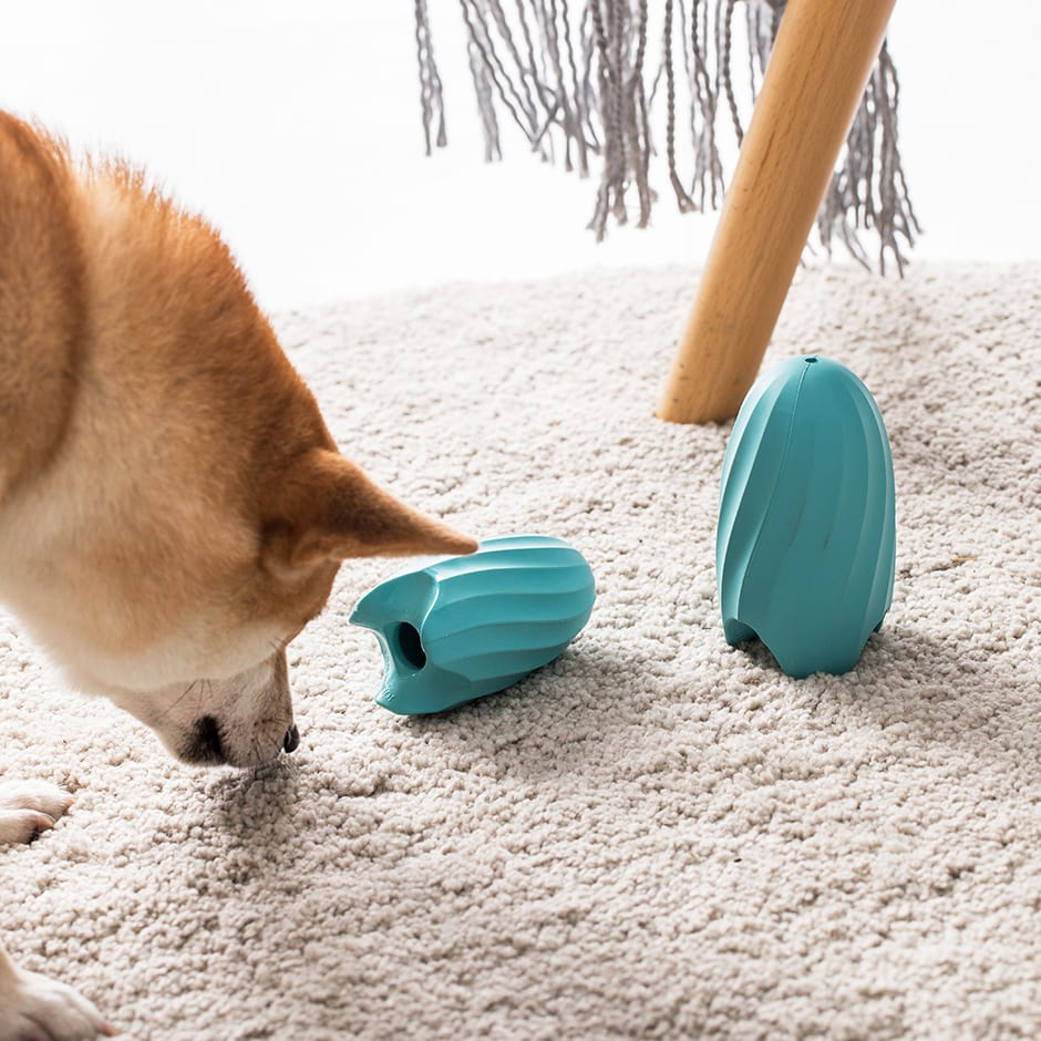 Perro interactuando con el juguete dispensador de premios sobre una alfombra