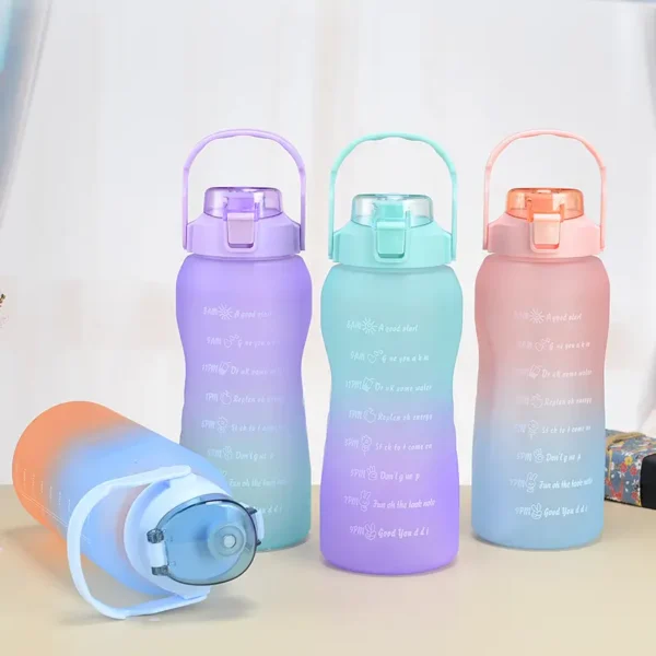 Set de 3 Tomatodos de Plástico con Color Degradado - Imagen 2