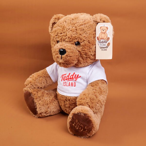 Muñeco de Peluche Oso Sentado con Camiseta Naranja TEDDY ISLAND - 35 cm (Color Oscuro) - Imagen 4